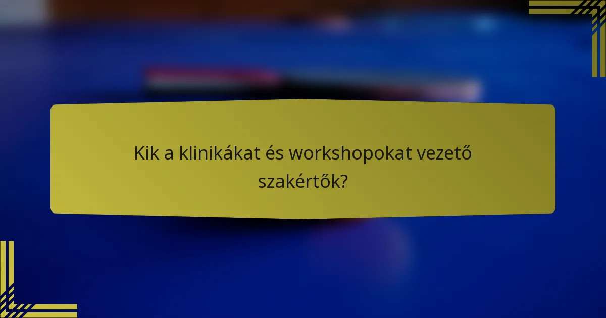 Kik a klinikákat és workshopokat vezető szakértők?